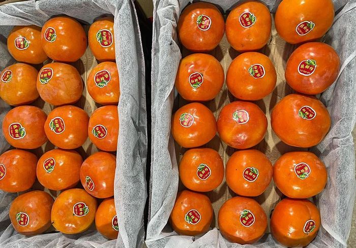Hồng Vân Sơn (Trung Quốc) được bỏ sỉ với giá siêu rẻ, chỉ 15.000 đồng/kg (Ảnh: NVCC)