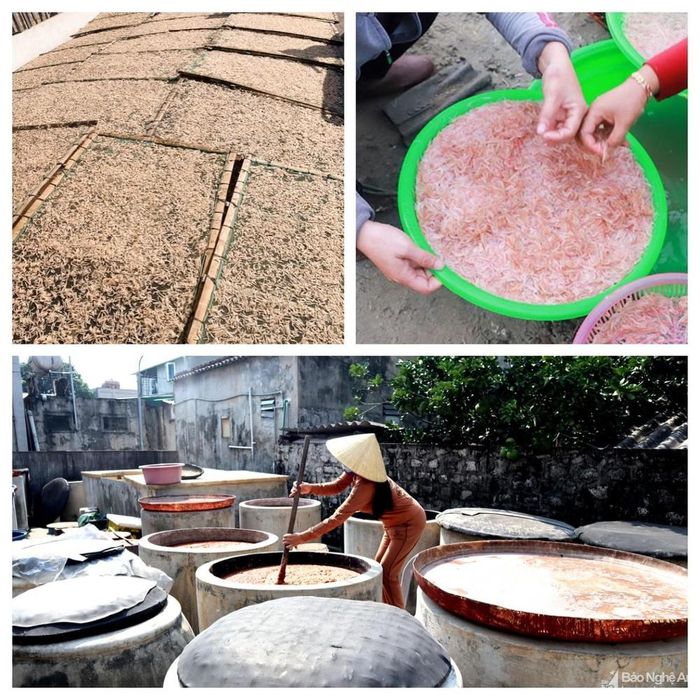 Đi lưới ngày, nếu vào kịp trưa, còn nắng giòn thì phơi khô để con ruốc ngọt đậm đà, còn đi lưới đêm thì ruốc thường dùng để làm mắm. Về những vùng quê biển mùa này, sân trong nhà, ngoài ngõ được tận dụng để phơi ruốc, sàng, sảy, giã muối ruốc. Mùi thơm nồng, đậm vị biển của con ruốc biển trở thành mùi đặc trưng của các làng nghề chế biến hải sản mùa này. Ảnh: Thanh Phúc