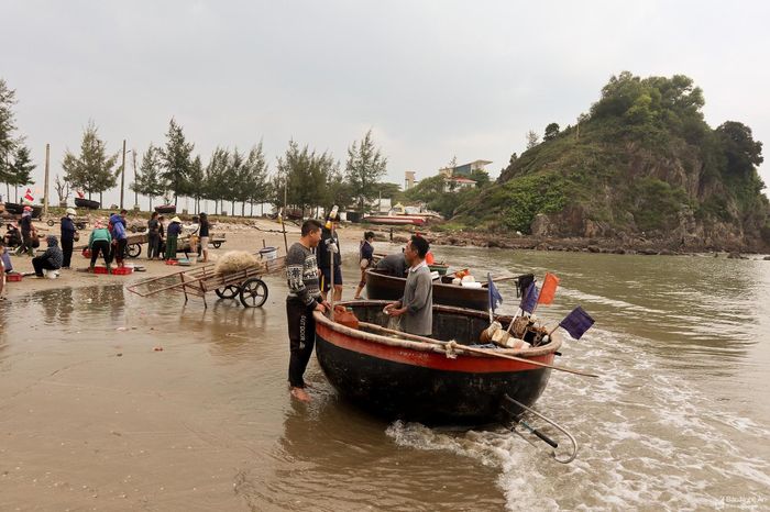 Trước đây, ngoài đánh bắt, ngư dân còn dùng thuyền mủng để chở khách du lịch trải nghiệm câu mực nháy. Song do không đảm bảo an toàn nên chính quyền thị xã Cửa Lò đã cấm hoạt động này. Hiện tại, thuyền mủng chỉ để khai thác hải sản gần bờ hoặc trung chuyển hải sản từ thuyền lớn vào bờ. Ảnh: Thanh Phúc