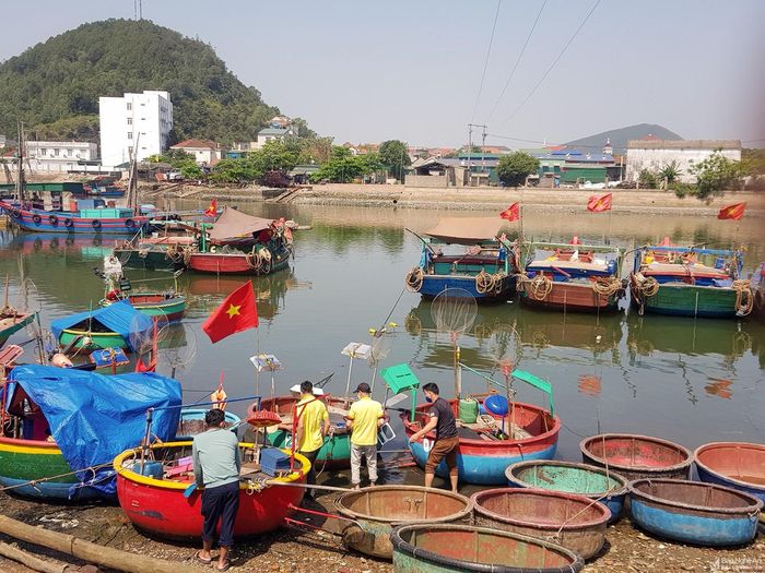 Nghề “đi mủng” được coi là nghề truyền thống, “cha truyền con nối” của ngư dân Cửa Lò. Theo thống kê sơ bộ, đến năm 2022, toàn thị xã Cửa Lò có khoảng 300 thuyền mủng, trong đó, nhiều nhất là phường Thu Thủy với 139 thuyền; phường Nghi Thủy 70 thuyền… Ảnh: Thanh Phúc