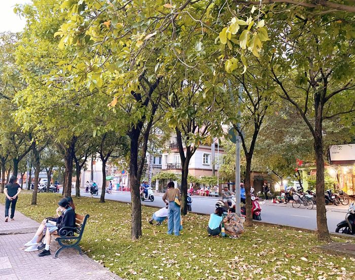 Những ngày gần đây, một đoạn đường bên bờ kênh Nhiêu Lộc - Thị Nghè (quận Bình Thạnh, TP.HCM) được quan tâm trên mạng xã hội vì khung cảnh lãng mạn thơ mộng. Đoạn đường dài khoảng một km có hàng cây lộc vừng đang mùa thay lá, lá vàng, xanh đan xen khá đẹp mắt. Ảnh: Nhật Hằng.