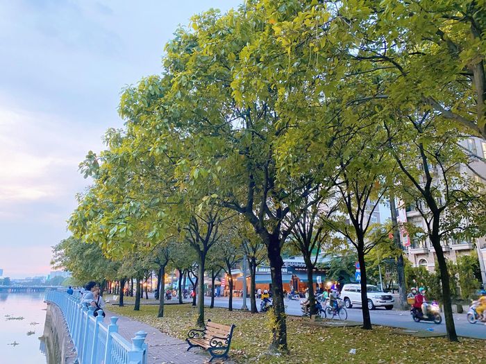 Hơn 30 năm trước, kênh Nhiêu Lộc ô nhiễm nặng, hai bên bờ nhà cửa lụp xụp và đầy cỏ rác. Vào năm 2002, dự án cải tạo Nhiêu Lộc - Thị Nghè được chính quyền TP.HCM triển khai với tổng mức đầu tư gần 8.600 tỷ đồng. Sau gần 10 năm cải tạo, diện mạo bờ kênh đã thay đổi hoàn toàn với hàng cây xanh mát, nhiều loại hoa đẹp, không khí trong lành. Ảnh: Nhật Hằng.