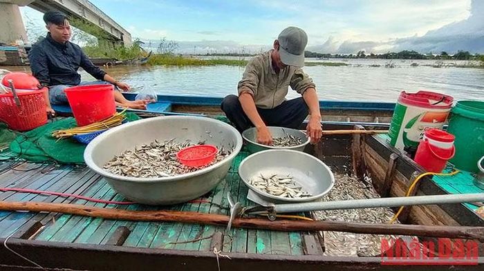 Mùa nước nổi giúp ngư dân có thu nhập ổn định từ đánh bắt thủy sản.