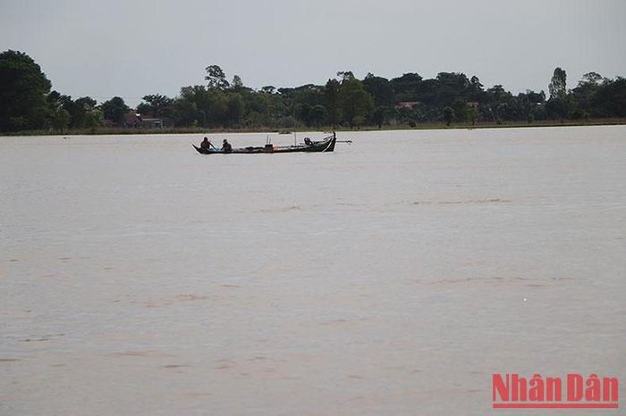Ngư dân giăng câu trên sông Hậu.