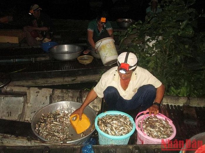 Ngư dân sau một đêm đánh bắt được nhiều cá tôm.