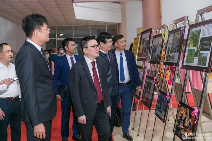 Các đại biểu xem triển lãm các tác phẩm đạt giải tại Cuộc thi Ảnh báo chí “Khoảnh khắc vàng” và video clip Báo Nghệ An lần thứ X - năm 2021. Ảnh: Đức Anh
