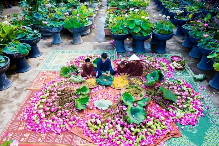 Nghề làm trà sen Nam Đàn. (Ảnh tham dự giải năm 2022)