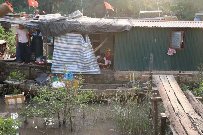  Để phục vụ dự án Chỉnh trang sông Tam Bạc giai đoạn 2, các hộ dân làng chài sẽ phải di dời trong tháng 11/2022 để bàn giao mặt bằng và đến ngày 9/11, đã có 16 hộ nhận tiền hỗ trợ để chuyển đi nơi khác. (Ảnh: Hoàng Ngọc/TTXVN) 