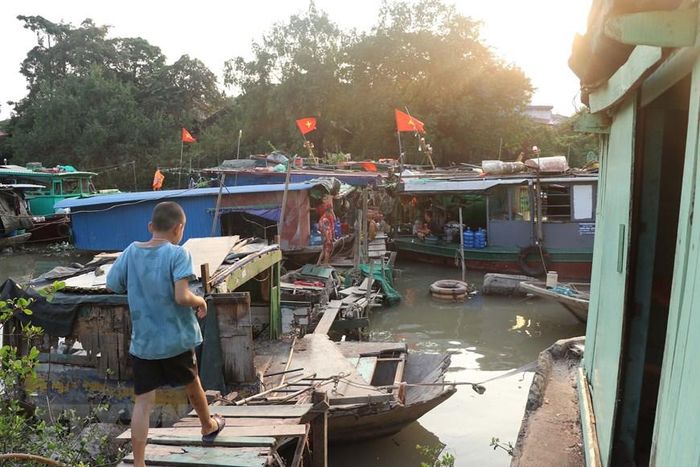  Các hộ dân nơi đây đến từ nhiều địa phương khác nhau như: Hải Dương, Quảng Ninh,… mưu sinh bằng nghề chài lưới và thợ lặn. (Ảnh: Hoàng Ngọc/TTXVN) 