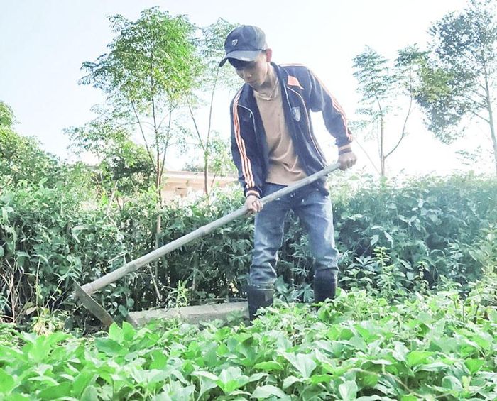  Hoàng Văn Đức phụ giúp mẹ làm vườn - Ảnh: NVCC 