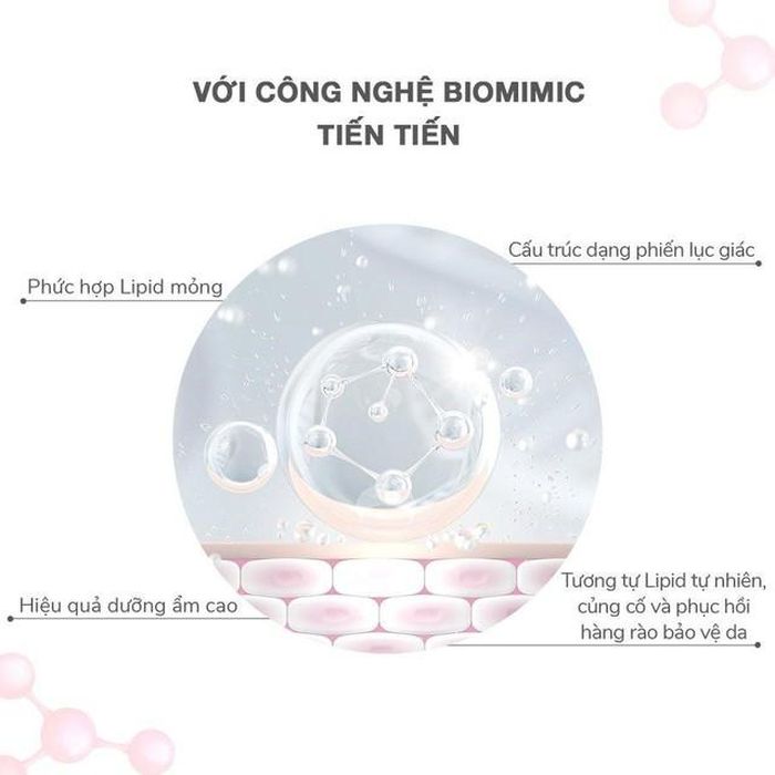 Công nghệ Biomimic với đặc điểm bắt chước sinh lý làn da, giúp cải thiện hàng rào dưỡng ẩm bị tổn thương một cách hiệu quả