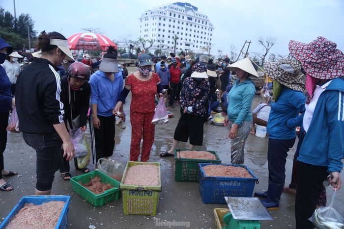 Ngư dân Nguyễn Văn Sơn (SN 1975, trú phường Thu Thủy) cho hay, trước đây, đi biển dễ kiếm tiền, biển nhiều cá, tôm. Giờ hải sản khan hiếm hơn, phải dong thuyền ra xa. 