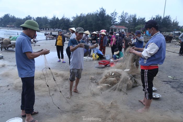 Thường những con cá to sẽ được ngư dân gỡ ngay cho vào thùng đá, còn cá nhỏ để về bờ “gỡ túc tắc”.