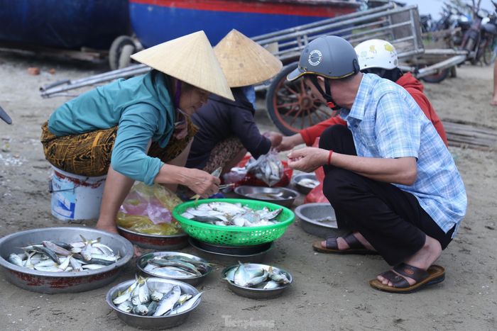 Hải sản đánh bắt được thường là cá vặt tươi sống, tôm, ruốc biển. Tất cả đều luôn tươi ngon nên rất được khách ưa chuộng.