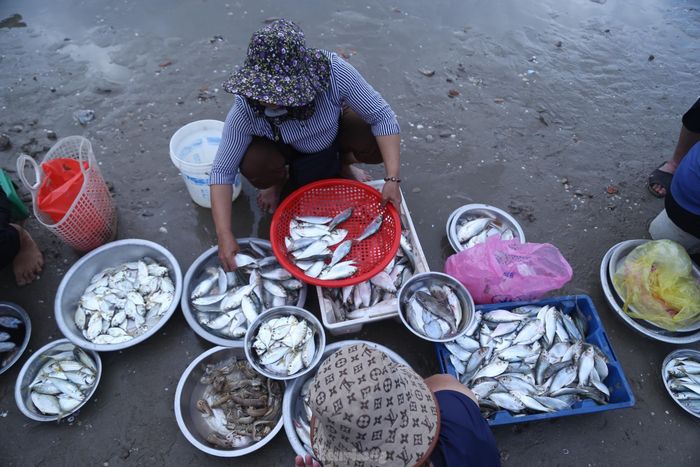 Hải sản được bày bán ngay tại bờ biển. 