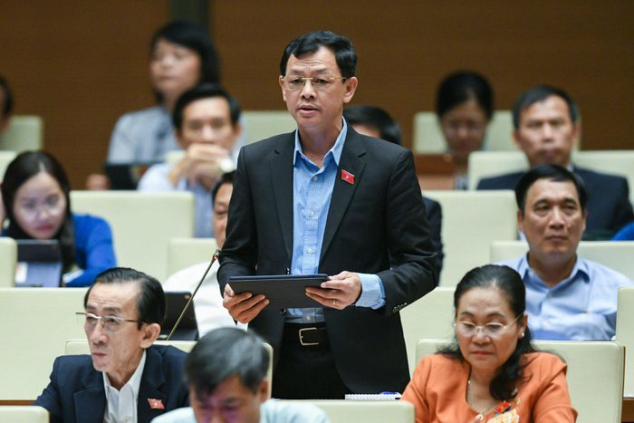 ĐB Nguyễn Tri Thức (TPHCM)