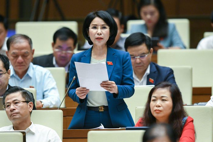 ĐB Trần Thị Nhị Hà (Hà Nội)