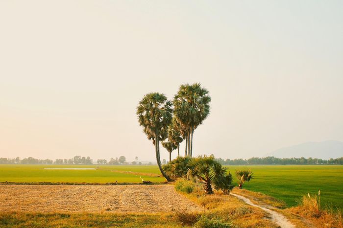 Ảnh: Nguyễn Hoàn Hảo.