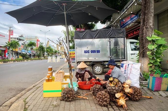 Hàng chục năm nay, hai vợ chồng bà Mến đã rong ruổi khắp các tỉnh Tây Nguyên để bán dừa nước (Ảnh: Phạm Hoàng).