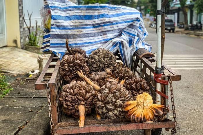 Chiếc xe cà tàng mà hai ông bà đẩy đi khắp các con phố mỗi ngày (Ảnh: Phạm Hoàng).