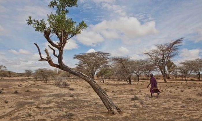 Kenya là nạn nhân nghiêm trọng của biến đổi khí hậu