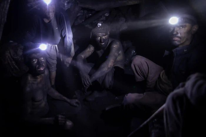  Afghanistan chìm trong cuộc khủng hoảng kinh tế tàn khốc. Nhiều người mất thu nhập còn giá lương thực tăng vọt. Tuyệt vọng vì cuộc sống, nhiều người quyết tâm đánh đổi tính mạng để kiếm tiền. 
