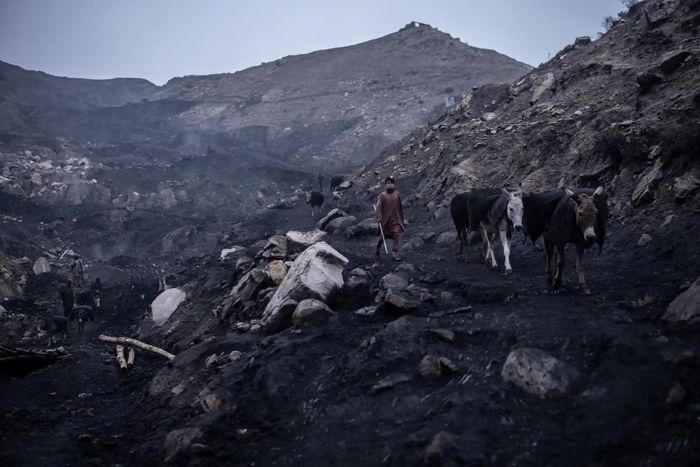  Hadi, cựu quân nhân, chia sẻ với New York Times: "Quá trình lao động rất mệt mỏi. Thứ tệ hơn cả là nỗi sợ hãi bị ngạt khí độc, đá rơi trúng lưng và hầm mỏ sụp đổ. Chúng tôi sẽ bị chôn sống. Chẳng có hy vọng gì vào việc được giải cứu". 