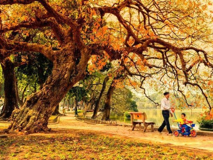Khoảnh khắc thu Hà Nội thật bình yên trong một buổi chiều nắng nhẹ