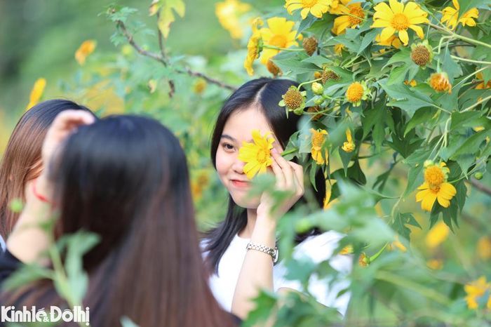 Nhiều người tranh thủ bỏ khẩu trang để chụp ảnh cùng hoa dã quỳ.