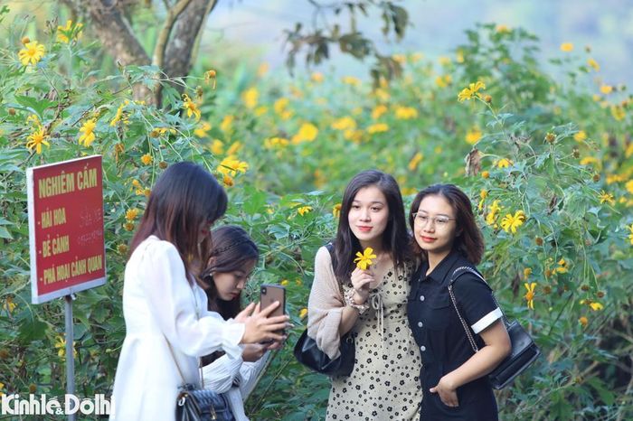 Một số du khách tranh thủ "check-in" ngay dọc đường lên đỉnh núi Ba Vì.