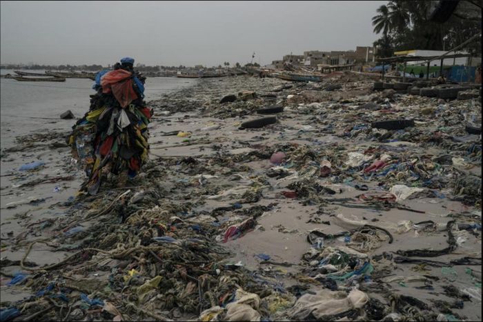 Fall bước đi trên bãi biển ngập rác thải ở Senegal. Ảnh: AP