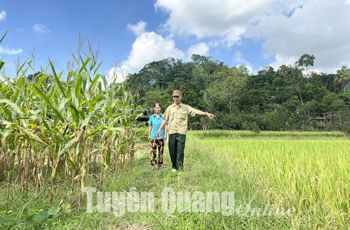 Tuyến đường vào vùng sản xuất hàng hóa của người dân thôn 4 xã Trung Trực (Yên Sơn) chuẩn bị được bê tông hóa nhờ một phần công sức vận động của ông Đào Xuân Lư