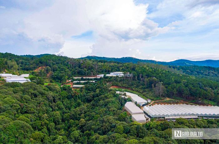 Mật độ nhà kính dày đặc che hết diện tích bề mặt của đất khiến nước mưa không thể thấm xuống mà tập trung thành những dòng chảy lớn dẫn đến xói mòn đất sản xuất nông nghiệp; gây ra lũ ống, ngập lụt cục bộ vào những ngày mưa lớn làm bồi lắng ao, hồ, sông, suối…Theo các chuyên gia nông nghiệp, một số loại rau, hoa có thể trồng ngoài trời nhưng nhà nông vẫn “nhốt” vào nhà kính làm cho tính đa dạng sinh học bị hạn chế; mặt khác, có nguy cơ tích lũy mầm mống sâu bệnh nếu công tác vệ sinh đồng ruộng không tốt. 