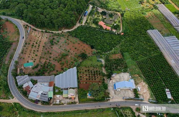 Đó là hàng trăm ngàn trang trại, nhà kính mọc lên vây xung quanh ngoại ô Tp.Đà Lạt, chạy dọc 2 bên suối Cam Ly. Từ phía hạ lưu ngược lên thượng nguồn, hàng ngàn ha đất được người dân phủ bạt kính để sản xuất nông nghiệp. Cuối thập niên 1990, Tp.Đà Lạt chỉ có một số nhà kính, hiện nay diện tích các nhà kính tăng lên khoảng 15.000ha trong tổng số 18.000ha trồng rau quả. Nhà kính tập trung ở tất cả phường xã, thậm chí một số nơi trong nội thành có mật độ nhà kính dày đặc như phường: 5, 7, 8, 9, 11, 12. Nhìn từ trên cao, không gian Tp.Đà Lạt bị nhà kính lấn át. Vành đai xanh bao quanh Thành phố này bị biến mất, thay vào đó là bạt ngàn nhà kính, rừng thông chỉ lác đác một số cụm ở ngoại ô. 
