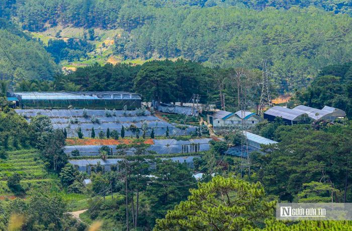Nhà kính làm nhiệt độ khu vực nóng lên 1-1,5 độ C do bề mặt của tấm lợp không hấp nhiệt mà hắt ngược lên khí quyển, khiến không gian nóng hơn cả nhà làm bằng bê tông, làm Tp.Đà Lạt ngày càng nóng hơn, thời gian lạnh trong năm ngắn hơn. Các vùng đất có nhà kính có hệ số thấm nước bằng không, tức mưa đổ xuống rơi trên những tấm ni lông không thấm vào đất.