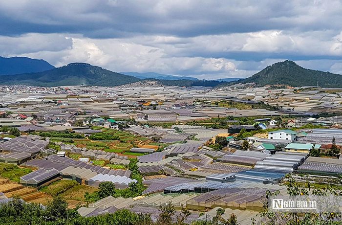 Mục tiêu chung của đề án là triển khai đồng bộ các giải pháp nhằm giảm dần, tiến tới không còn diện tích nhà kính tại các khu vực nội ô, nội thị, khu dân cư trên địa bàn Tp.Đà Lạt (sau năm 2030) và các huyện lân cận. Đồng thời, chuyển dần sang phát triển nông nghiệp sinh thái, nông nghiệp tuần hoàn, nông nghiệp ứng dụng công nghệ cao gắn với bảo vệ cảnh quan môi trường nhưng vẫn đảm bảo lợi ích kinh tế cho người nông dân, doanh nghiệp trên địa bàn.