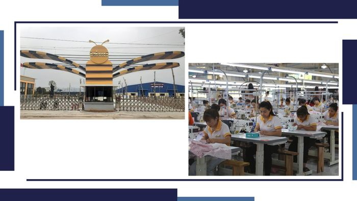 Trong tổng số 350 người đang làm việc tại Nhà máy May thêu xuất khẩu thuộc Tổng Công ty Babeeni Việt Nam có khoảng 130 người dân xã Vạn Hòa và phường Lào Cai (thành phố Lào Cai).