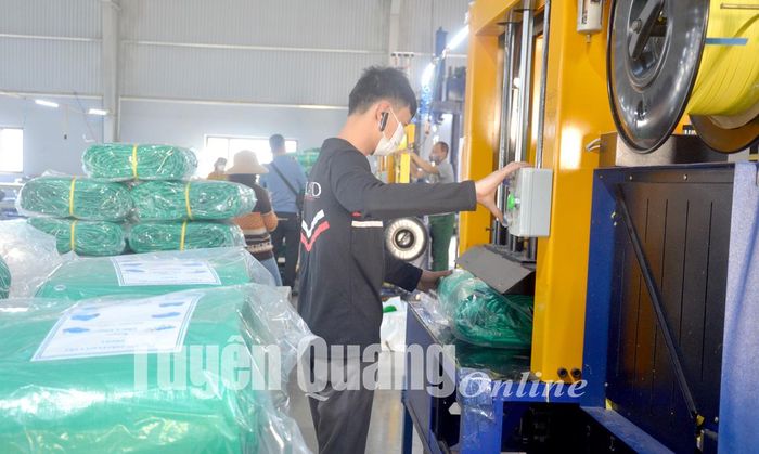 Sản xuất bạt xuất khẩu tại Công ty TNHH Hitap Việt Nam ở Cụm công nghiệp Phúc Ứng (Sơn Dương).