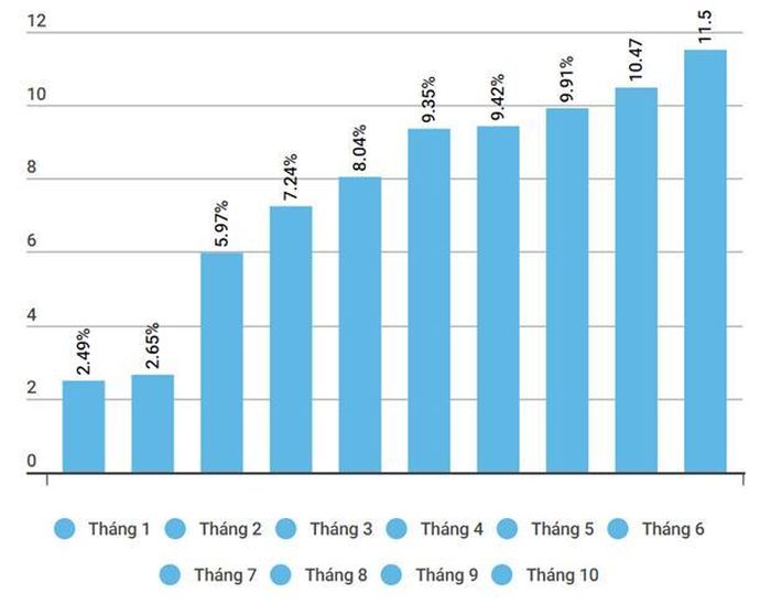 Tăng trưởng tín dụng tính đến tháng 10 năm 2022. Ảnh: Vietnam+