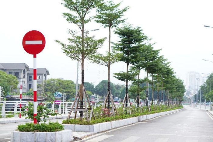 "Con đường tình yêu”, tuyến đường nối giữa phố Nhật Chiêu và Vũ Tuấn Chiêu (Tây Hồ), rất im vắng.