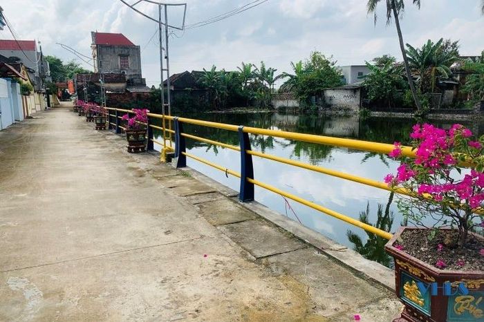 Các tuyến đường trong thôn được trồng hoa...