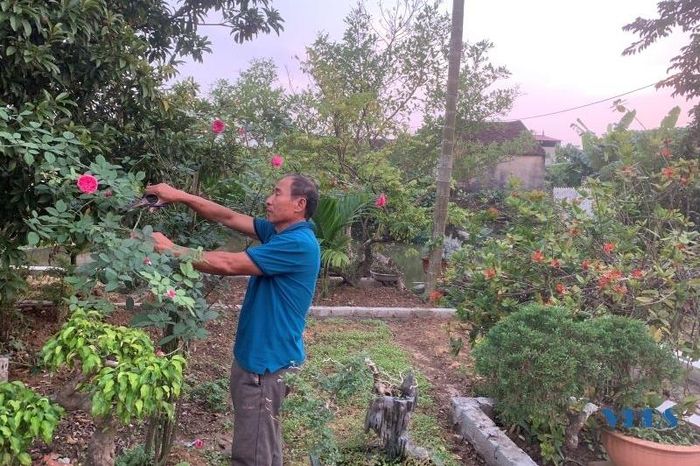 Cùng với đầu tư xây dựng hạ tầng cơ sở, trong những năm qua, người dân trên địa bàn thôn không ngừng áp dụng khoa học kỹ thuật tiên tiến, đưa các loại giống cây trồng có năng suất, chất lượng cao vào sản xuất, đem lại hiệu quả kinh tế.