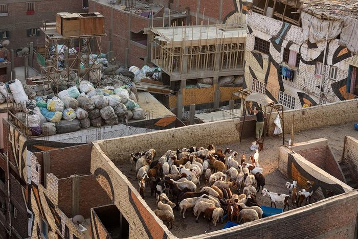  Manshiyat Naser không phải điểm du lịch truyền thống của khách tới Cairo. Tuy nhiên, một số đơn vị đã bắt đầu khai thác tour này để phục vụ nhóm khách nhỏ yêu thích khám phá. Ảnh: Behance. 