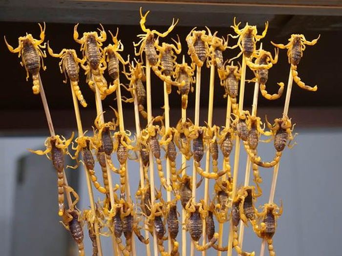 Bọ cạp: Bọ cạp chiên là món ăn vặt đường phố nổi tiếng ở Trung Quốc. Món ăn độc, lạ này rất thu hút khách du lịch. Vì bọ cạp mỏng, nên chúng rất giòn và thơm ngon. Người ta tin rằng ăn bọ cạp có thể chữa được rất nhiều bệnh.
