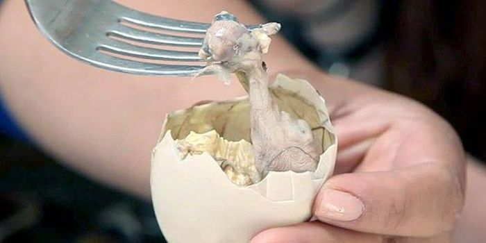 Trứng vịt lộn: Trứng vịt lộn là một món ăn đường phố phổ biến có thể tìm thấy ở nhiều khu chợ ở Trung Quốc. Trứng được luộc trong khoảng 25 phút và được ăn khi trứng vẫn còn ấm. Phần lòng đỏ rất béo ngậy và thơm ngon. Nhưng với du khách nước ngoài, đặc biệt là người phương Tây sẽ rất sợ hãi khi nhìn thấy món ăn này.