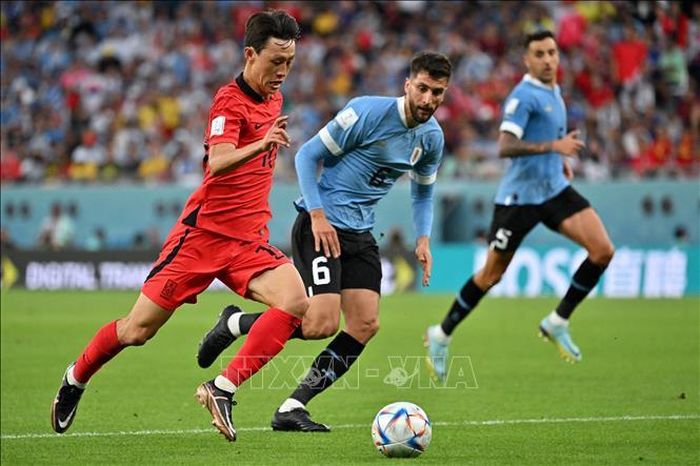 Tiền vệ Hàn Quốc Lee Jae-sung (trái) khéo léo đi bóng trước Rodrigo Bentancur của Uruguay. Ảnh: AFP/TTXVN