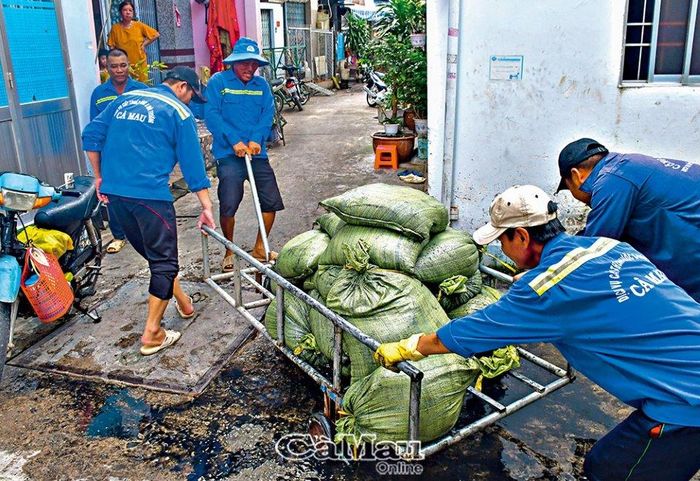 Rác thải được chuyển đi xử lý.