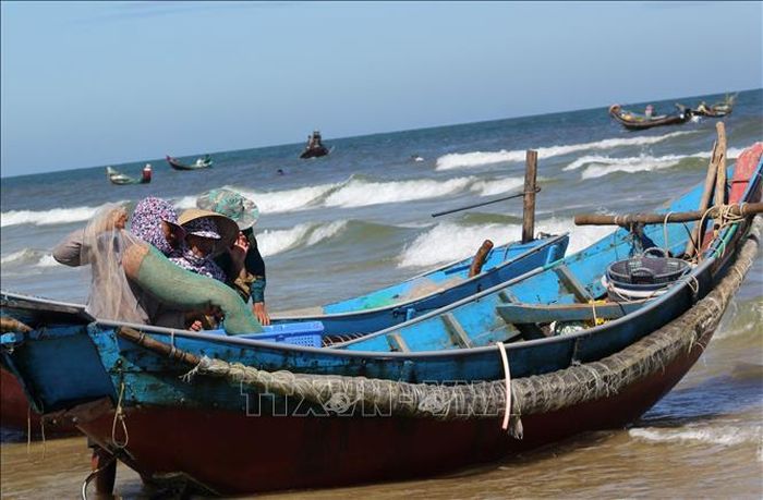 Thuyền khai thác ruốc cập bờ để thu gom ruốc mang đi bán.