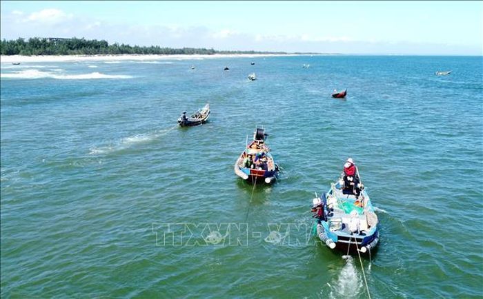 Ngư dân dùng thuyền nhỏ khai thác ruốc ở gần bờ biển huyện Gio Linh (Quảng Trị).
