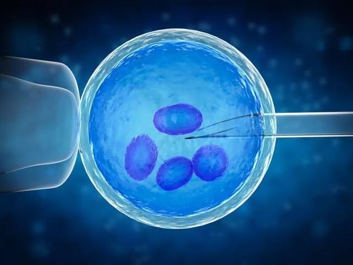  Trứng đông lạnh cần trải qua quá trình rã đông trước khi sử dụng. Ảnh: Independent. 